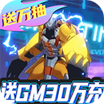 小黑的宝藏{送GM30万充}