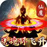 永恒仙域-百万年魂环修真