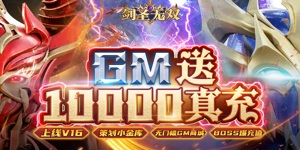 《剑圣无双 （GM送1W真充）》常驻线下活动