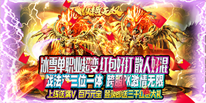 《纵横无双》区服冠名活动